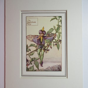 Flower Fairies/Fairy: The NIGHT-SHADE FAIRY, Vintage Print, Rare, 1927, di Cicely Mary Barker, Summer Fairy, Mounted