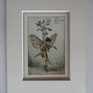 Flower Fairies/Fairy: The GROUNDSEL Fairy, Vintage Print, Rare, 1927, by Cicely Mary Barker, Spring Fairy, Mounted