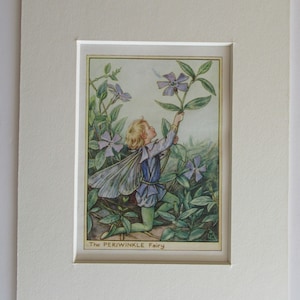 Flower Fairies/Fairy: The PERIWINKLE FAIRY, Vintage Print, 1930&#39;s/40&#39;s, by Cicely Mary Barker, Garden Fairy,  Mounted