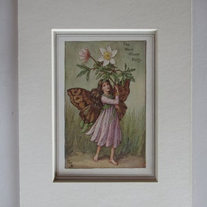 Flower Fairies/Fairy: The WIND FLOWER Fairy, Vintage Print, Rare, 1927, by Cicely Mary Barker, Spring Fairy, Mounted