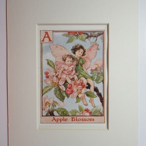 Alphabet Flower Fairies/Fairy: A for APPLE BLOSSOM FAIRY, Vintage Print, 1930&#39;s/40&#39;s, by Cicely Mary Barker, Mounted