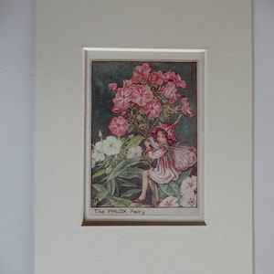 Flower Fairies/Fairy: The PHLOX FAIRY, Vintage Print, Garden Fairy, 1930&#39;s/40&#39;s, by Cicely Mary Barker, Mounted