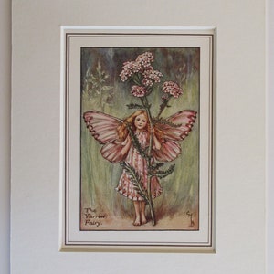 Flower Fairies/Fairy: The YARROW FAIRY, Vintage Print, Rare 1927, by Cicely Mary Barker, Summer Fairy, Mounted