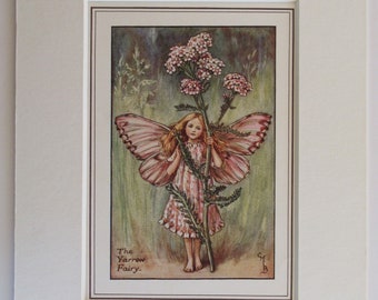 Yarrow Summer Flower Fairy Mounted Flower Fairies 1930's CICELY
