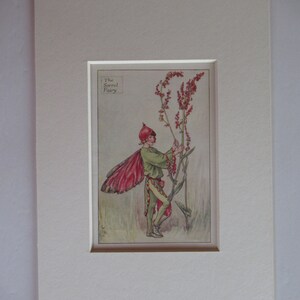 Flower Fairies/Fairy: The SORREL FAIRY, Summer Fairy, Vintage Print, 1930&#39;s/40&#39;s, by Cicely Mary Barker, Mounted