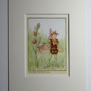 Flower Fairies/Fairy: The BEE ORCHIS FAIRY, Wayside Fairy, Vintage Print, 1930&#39;s/40&#39;s, by Cicely Mary Barker, Mounted