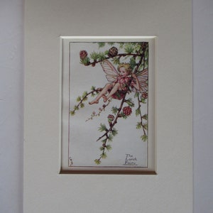 Flower Fairies/Fairy: The LARCH FAIRY, Spring Fairy, Vintage Print, 1930&#39;s/40&#39;s, by Cicely Mary Barker, Mounted