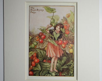 Flower Fairy Pop-up Theater：シシリーメアリーバーカー Flower Fairy Pop-up Theatre Book: Barker, Cicely Mary