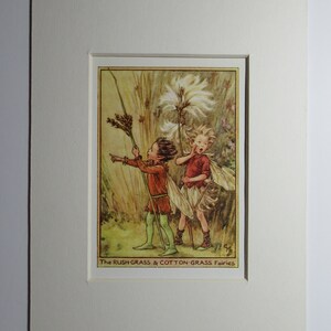 May include: Two fairies, one with a brown and green outfit and the other with a red and white outfit, stand in a field of tall grass. The fairy on the left holds a long, thin stalk of grass, while the fairy on the right holds a large, white cotton-like flower. The text "The RUSH-GRASS & COTTON-GRASS Fairies" is printed below the image.