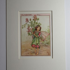 Flower Fairies/Fairy: The FUMITORY FAIRY, Wayside Fairy, Vintage Print, 1930&#39;s/40&#39;s, by Cicely Mary Barker, Mounted
