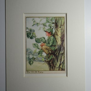 Flower Fairies/Fairy: The ELM FAIRY, Tree Fairy, Vintage Print, 1930&#39;s/40&#39;s, by Cicely Mary Barker, Mounted