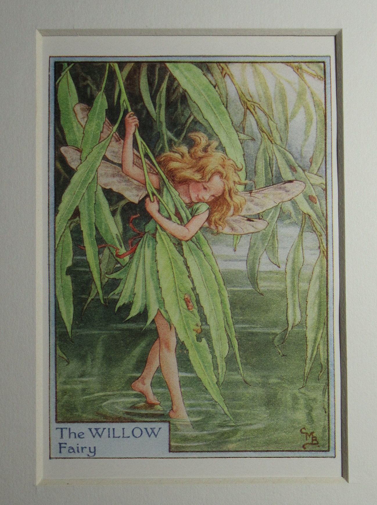 Flower Fairies/Fairy The WILLOW FAIRY 1930's/40's Etsy