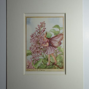 May include: A framed print featuring a fairy with purple wings and a green cap, standing near a cluster of lilac flowers. The artwork is titled "The Lilac Fairy" and is set against a light blue sky.