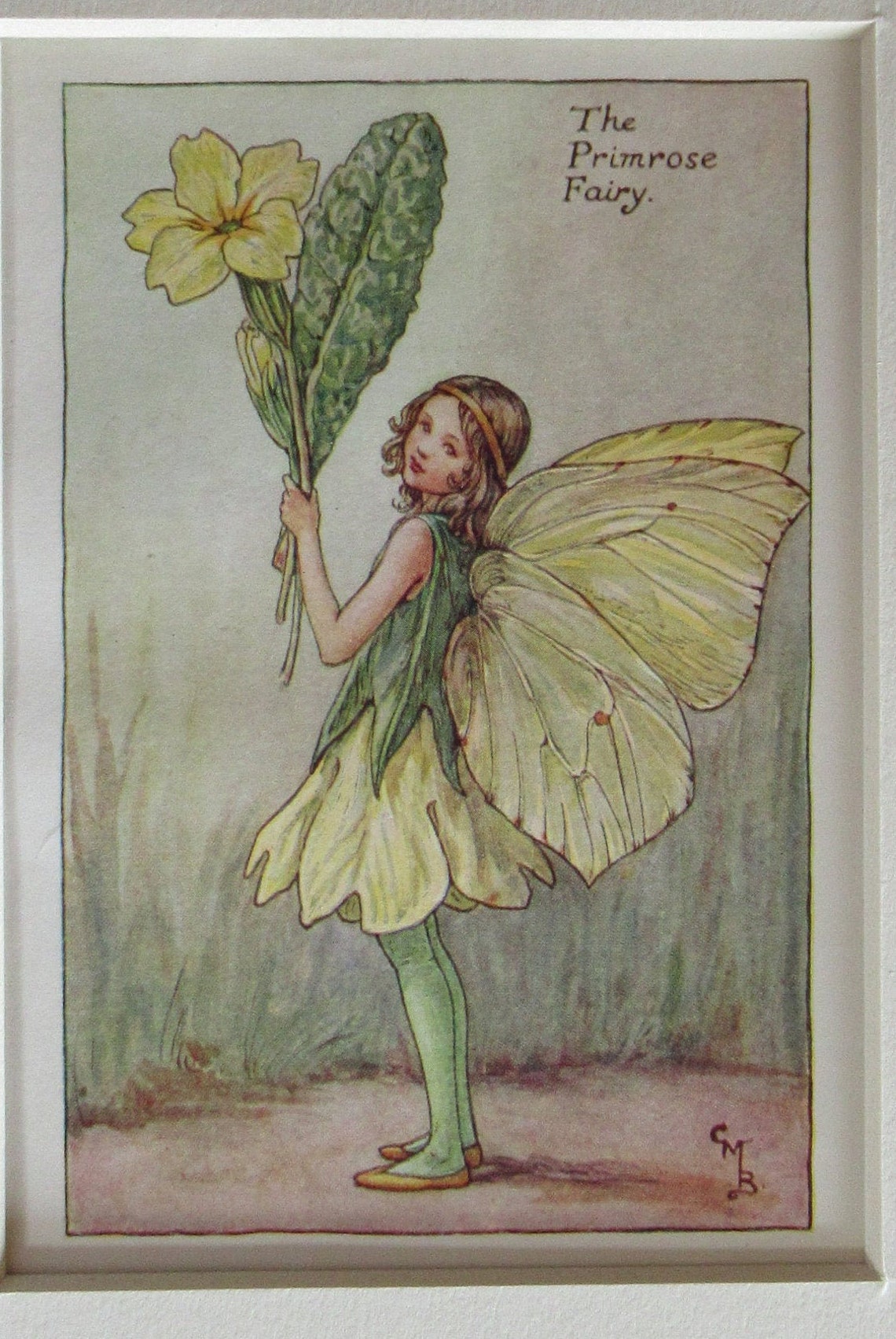 Flower Fairies/fairy the DAFFODIL FAIRY, Vintage Print, 1930's/40's