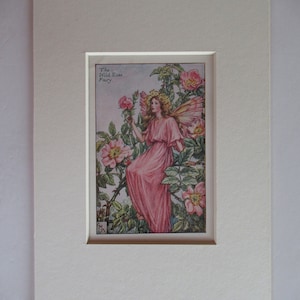 Flower Fairies/Fairy: The WILD ROSE FAIRY, Summer Fairy, Vintage Print, 1930&#39;s/40&#39;s, di Cicely Mary Barker, montato