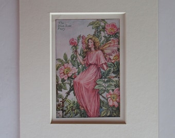 花の妖精：野バラの妖精 ヴィンテージプリント 1930年頃 シセリー
