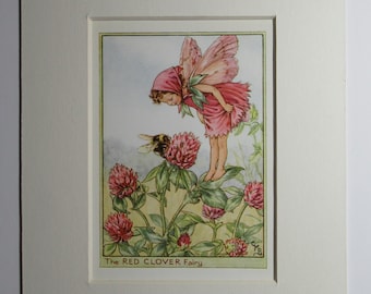 Flower Fairies/Fairy: The RED CLOVER FAIRY, Wayside Fairy, Vintage Print, 1930's/40's, by Cicely Mary Barker, Mounted