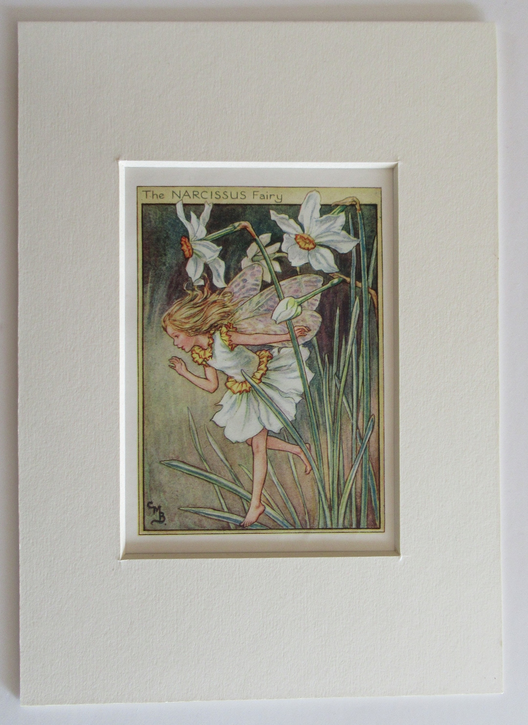 Flower Fairies/fairy the NARCISSUS FAIRY Vintage Print Etsy