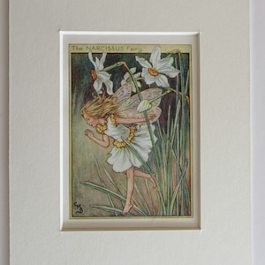 Flower Fairies/Fairy: The NARCISSUS FAIRY, Vintage Print, 1930&#39;s/40&#39;s, by Cicely Mary Barker, Garden Fairy, Mounted