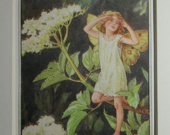 花の妖精：野バラの妖精 ヴィンテージプリント 1930年頃 シセリー
