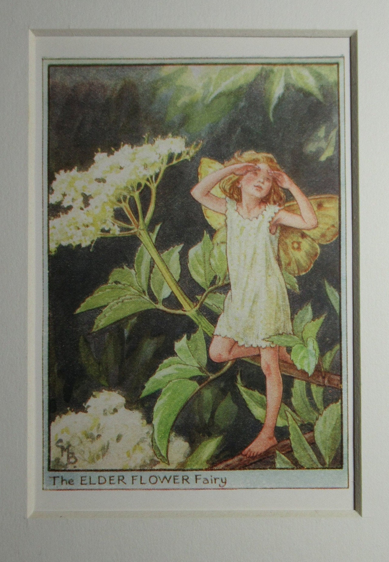 Elder flower fairy - Etsy 日本