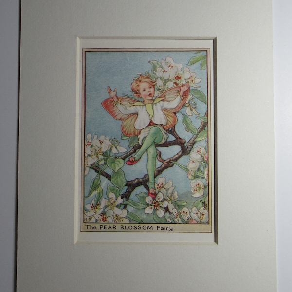 Flower Fairies/Fairy: The PEAR BLOSSOM FAIRY, Tree Fairy, Vintage Print, 1930's/40's, by Cicely Mary Barker, Mounted