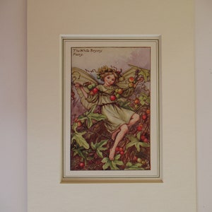 Flower Fairies/Fairy: The WHITE BRYONY FAIRY, Vintage Print, Rare, 1927, by Cicely Mary Barker, Autumn Fairy, Mounted