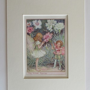 Flower Fairies/Fairy: The PINK FAIRIES, Vintage Print, 1930&#39;s/40&#39;s, by Cicely Mary Barker, Garden Fairies, Mounted