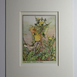 Flower Fairies/Fairy: The SOW THISTLE FAIRY, Vintage Print, Wayside Fairy, 1930&#39;s/40&#39;s, by Cicely Mary Barker, Mounted