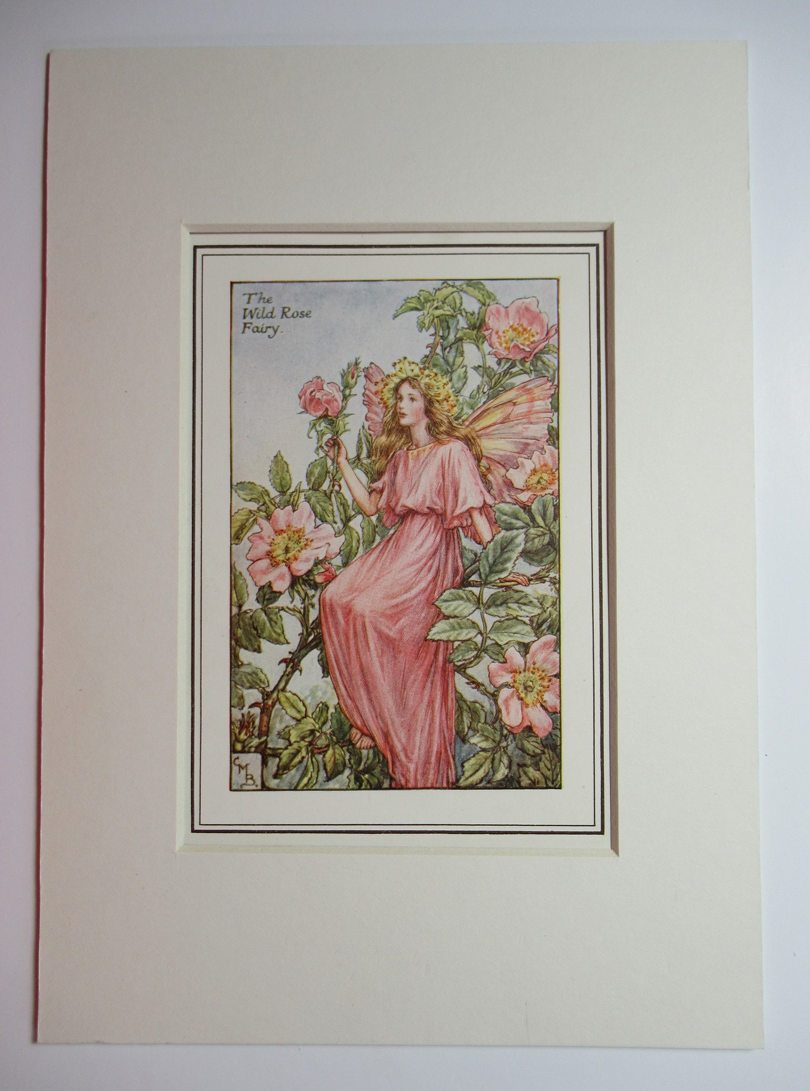 Flower Fairiesfairy The Wild Rose Fairy Vintage Print Rare Etsy