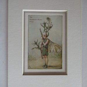 Flower Fairies/Fairy: The SHEPHERDS PURSE Fairy, Vintage Print, Rare, 1927, by Cicely Mary Barker, Spring fairy, Mounted