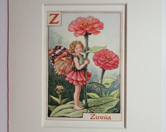 Flower Fairies Mounted Z for Zinnia Alphabet Flower Fairy CICELY