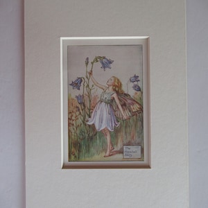 Flower Fairies/Fairy: The HAREBELL FAIRY, Summer Fairy, Vintage Print, 1930&#39;s/40&#39;s, di Cicely Mary Barker, Mounted