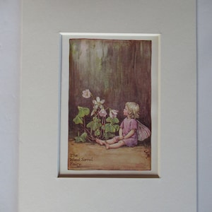 Flower Fairies/Fairy: The WOOD SORREL FAIRY, Spring Fairy, Vintage Print, 1930&#39;s/40&#39;s, by Cicely Mary Barker, Mounted