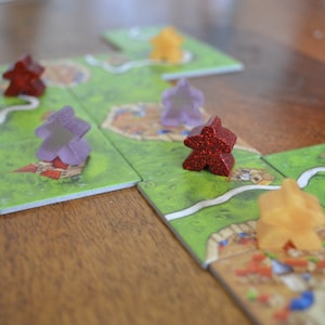 Custom Mist over Carcassonne meeples