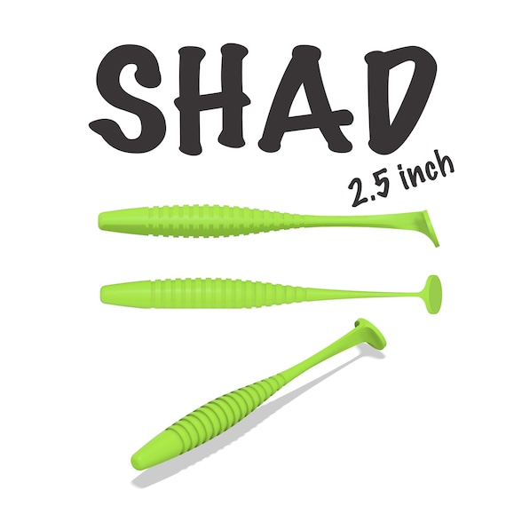 2.5" Shad Lure Mold: 3D STL, STEP File (Digital Download)