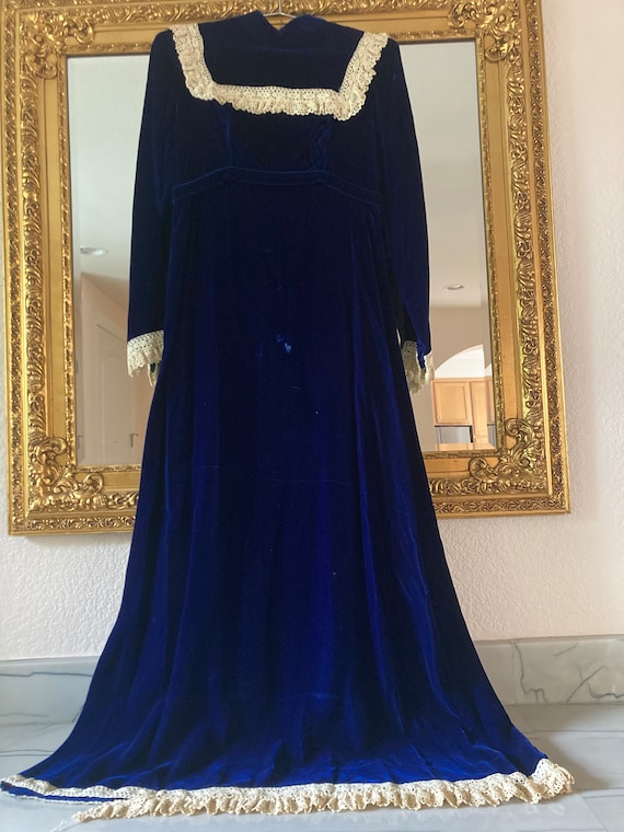 Vintage Blue Velvet Dress - image 1