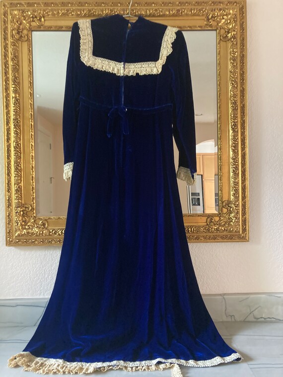 Vintage Blue Velvet Dress - image 4