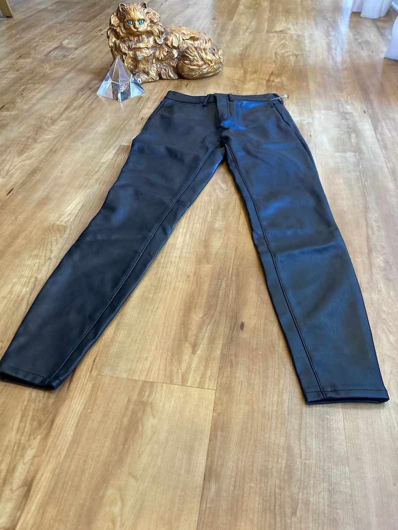 May include: Black leather pants with a slim fit.