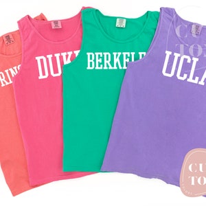 Comfort Colors Custom College Tank Top, Custom Design Tank, Personalized University Tank, Custom Bulk Tank, School Tank Top Comfort Colors
