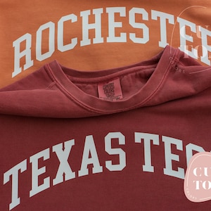 Comfort Colors Personalized Sweatshirt, Comfort Colors University Sweatshirt, College Sweater, Customized School Sweatshirt, Event Sweater
