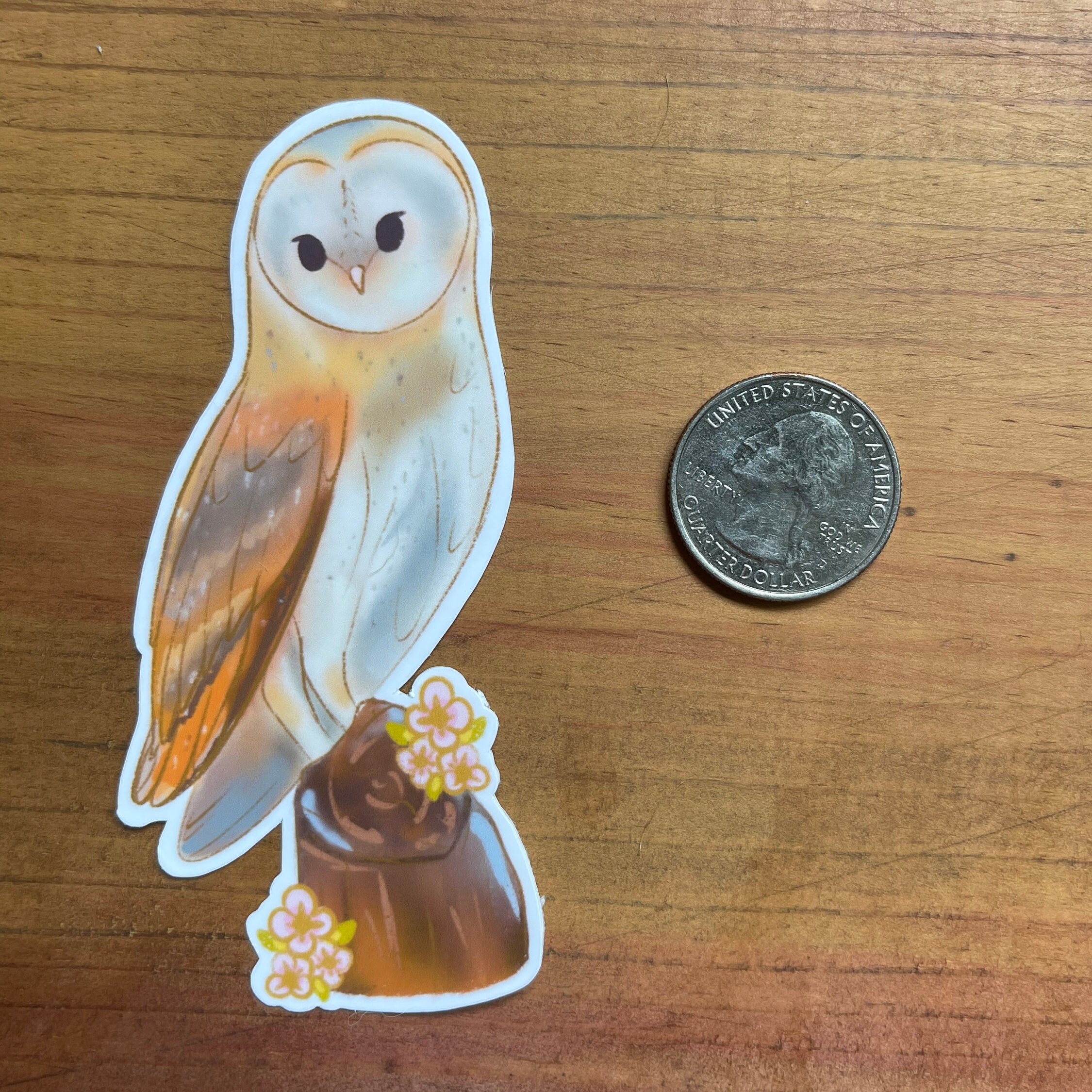 Owl Sticker Barn Owl Sticker Waterproof Glossy Vinyl Etsy