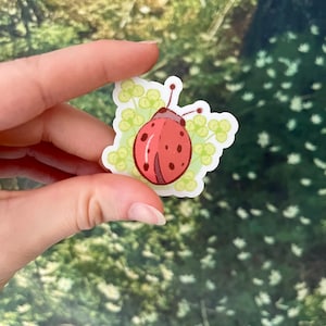 Ladybug Sticker | Ladybug and Clover | Waterproof matte ladybug Vinyl Sticker | insect sticker | clover sticker | laptop stickers