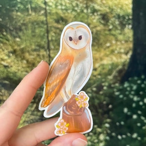 Owl Sticker | Barn Owl Sticker | Waterproof Owl Vinyl Sticker | Owl Art | Bird stickers