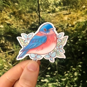 Bluebird Sticker | Waterproof Glossy Vinyl Sticker | Bluebird | Bird Sticker Stickers Laptop