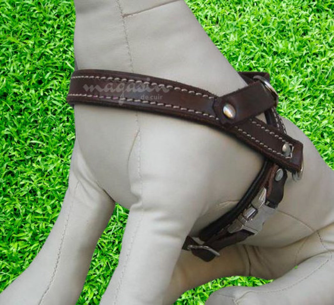 Handmade Custom Dog Harness in Brown Leather Soft and Etsy