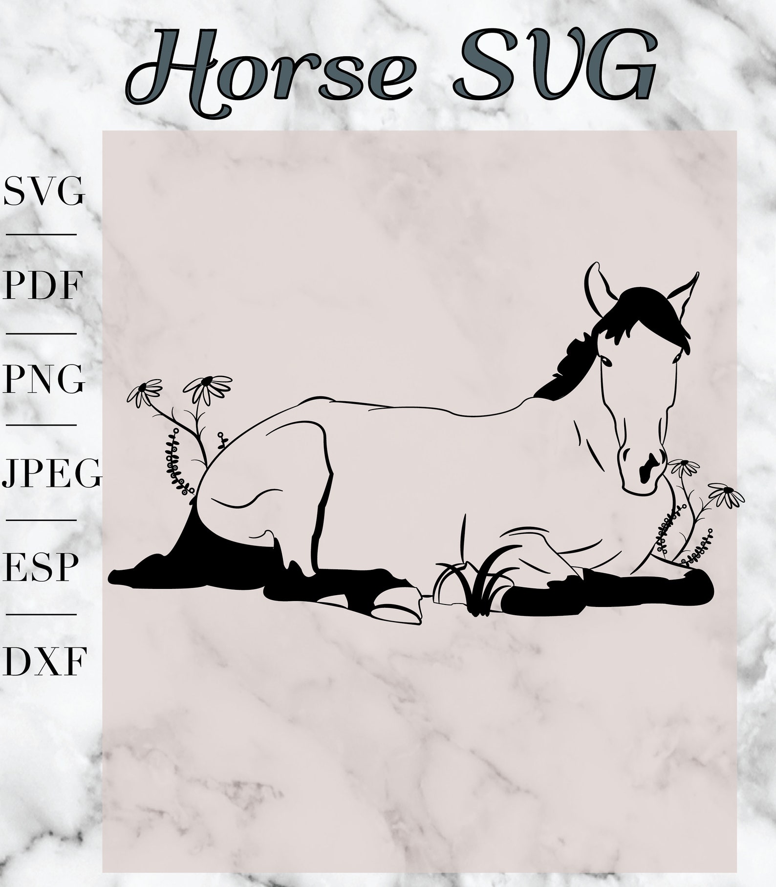 Horse Svg, Cute Horse Svg, Horse Sublimation Design, Farm Svg, Farm