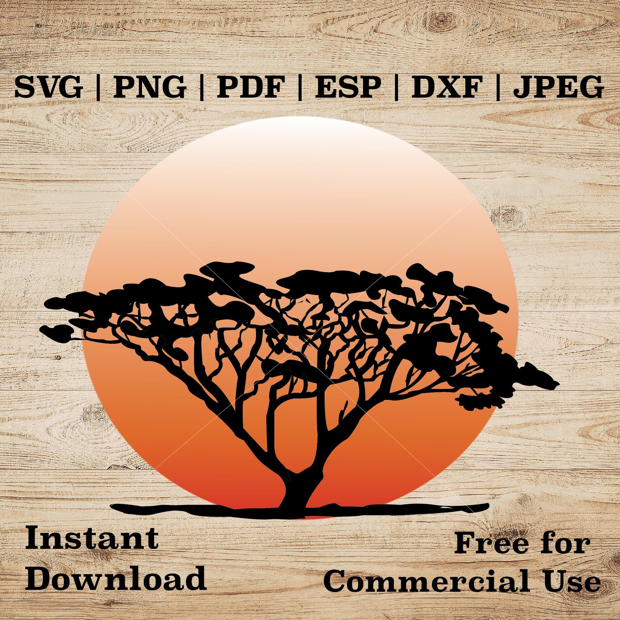 African Horizon Sunset Svg | Acacia tree Svg | Sunset Svg | African Svg | Safari Svg | Sublimation Designs Download | Instant Download