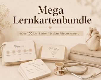 Flashcard Mega Bundel met meer dan 100 flashcards (Bundel 1+2)