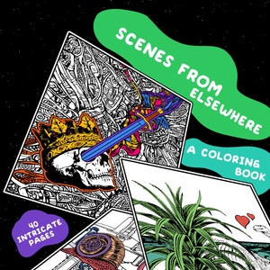 Scenes from Elsewhere Coloring Book, Adult Coloring Book, Trippy Coloring Book, Surreal Coloring Book - DIGITAL DOWNLOAD